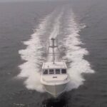 Profile picture of Yankee Star