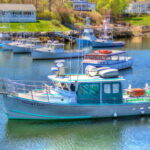 Profile picture of Bunny Clark