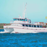 Profile picture of Wharf Cat