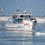 Profile picture of Holiday