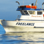 Profile picture of Freelance