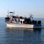 Profile picture of California Dawn