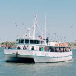 Profile picture of Cavalier