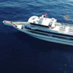 Profile picture of American Patriot