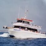 Profile picture of Prowler