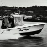 Profile picture of Fisher Price IV