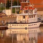 Profile picture of PerchPirate