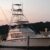 Profile picture of ontherunsportfishing