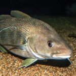 Profile picture of Tyme Of Your Lyfe