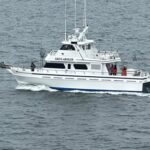 Profile picture of Skylarker